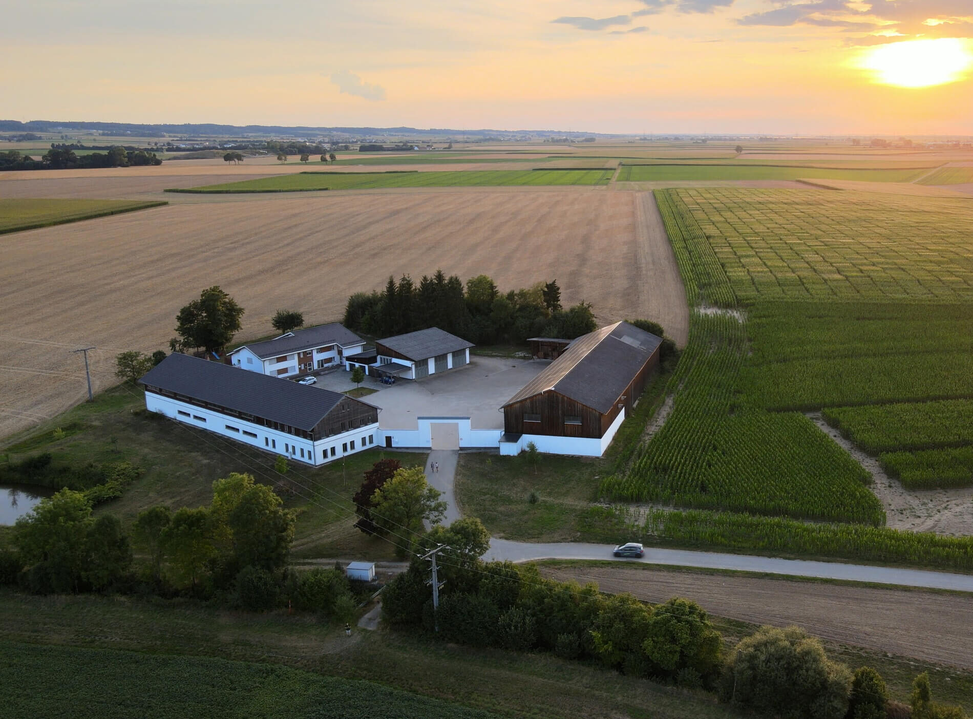 Züchtung Osterhofen